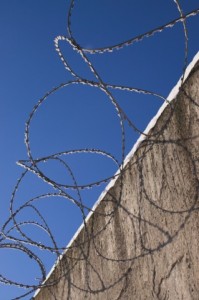 barbed_wire-01